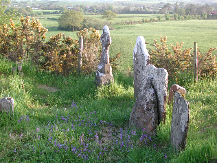 Old Murragh Cemetery 3.jpg 585.5K